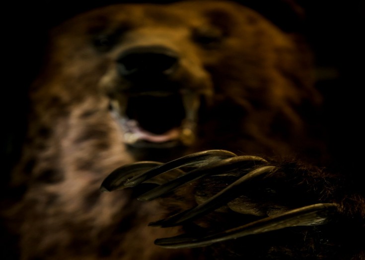 Image Credit: iStock/svedoliver