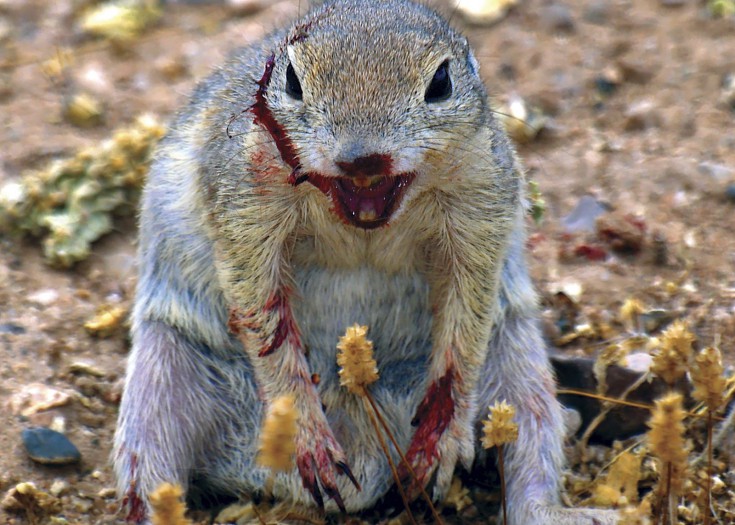 Image Credit: iStock/Dr-Strangelove