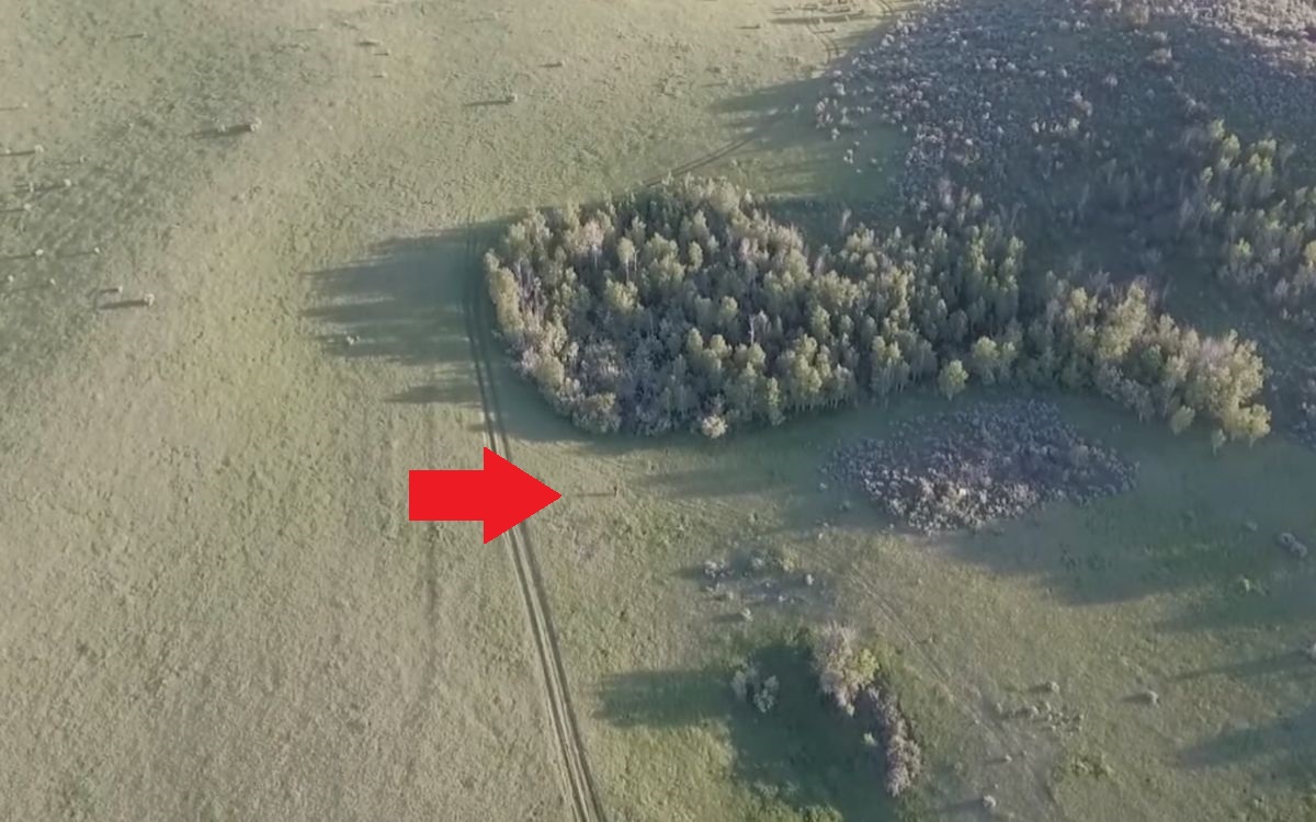 Image Credit: Idaho State Journal