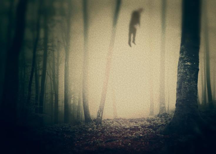 Image Credit: iStock/Robertiez