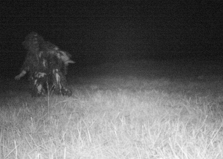 Image Credit: Gardner Police Department