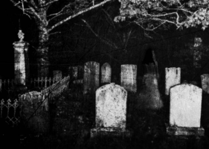 Image Credit: iStock/shaunl