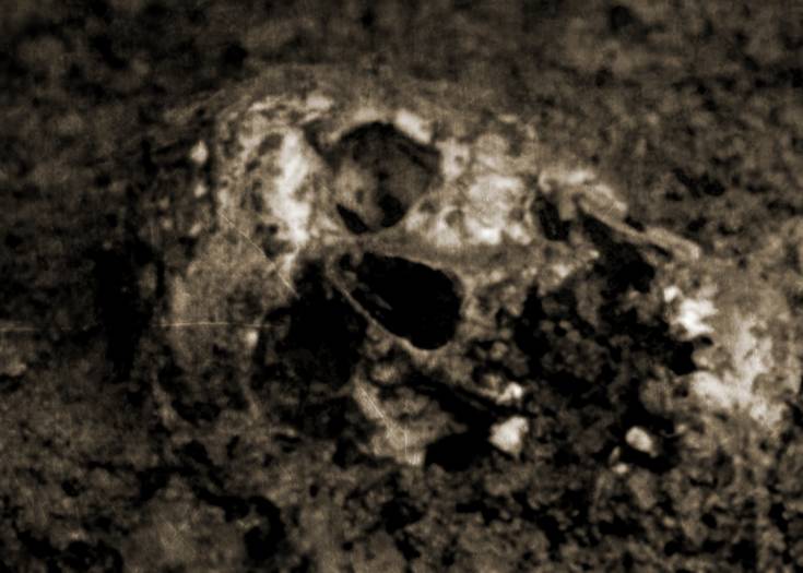 Image Credit: iStock/Lipowski