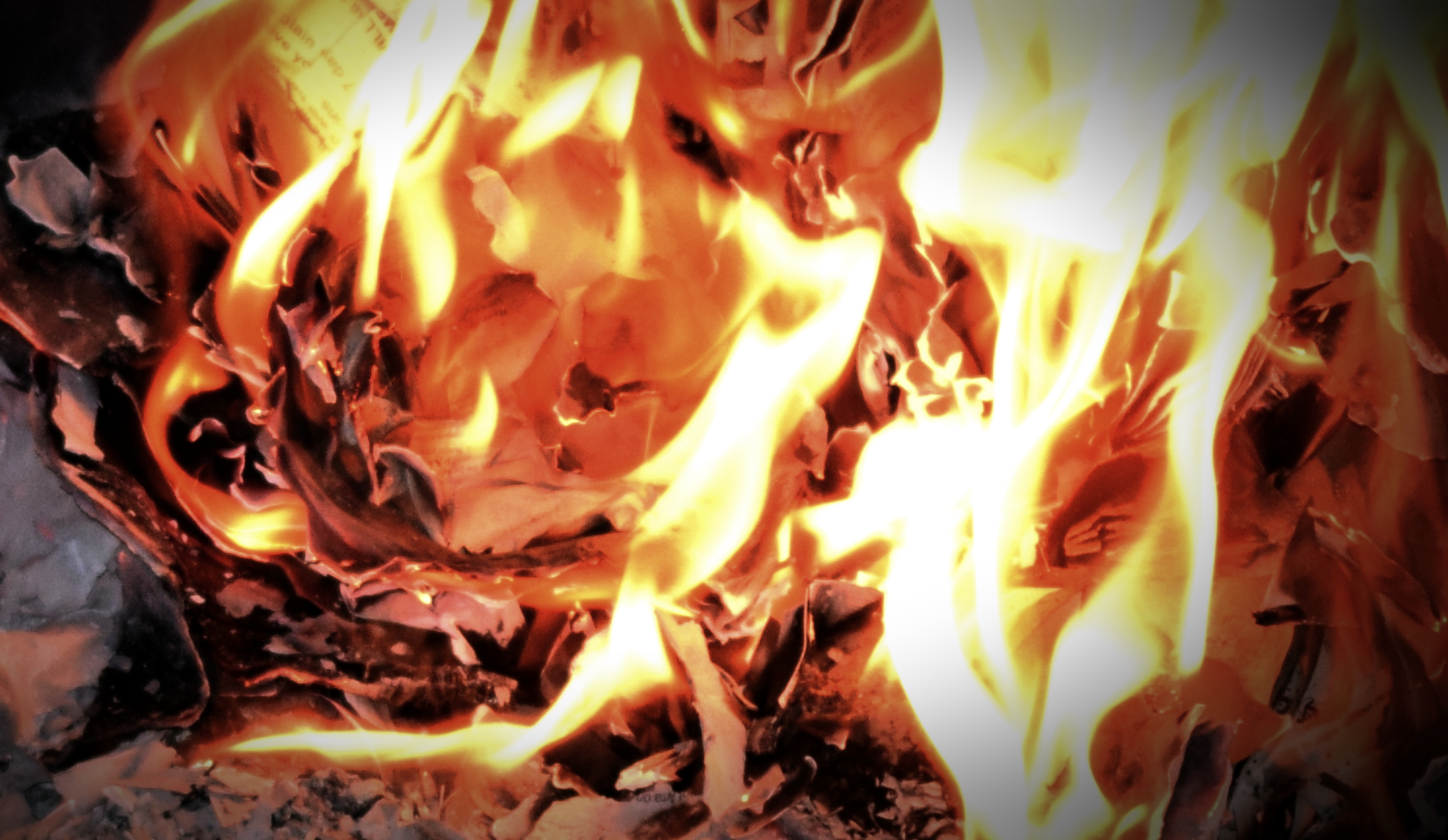 Image Credit: iStock/gemredding